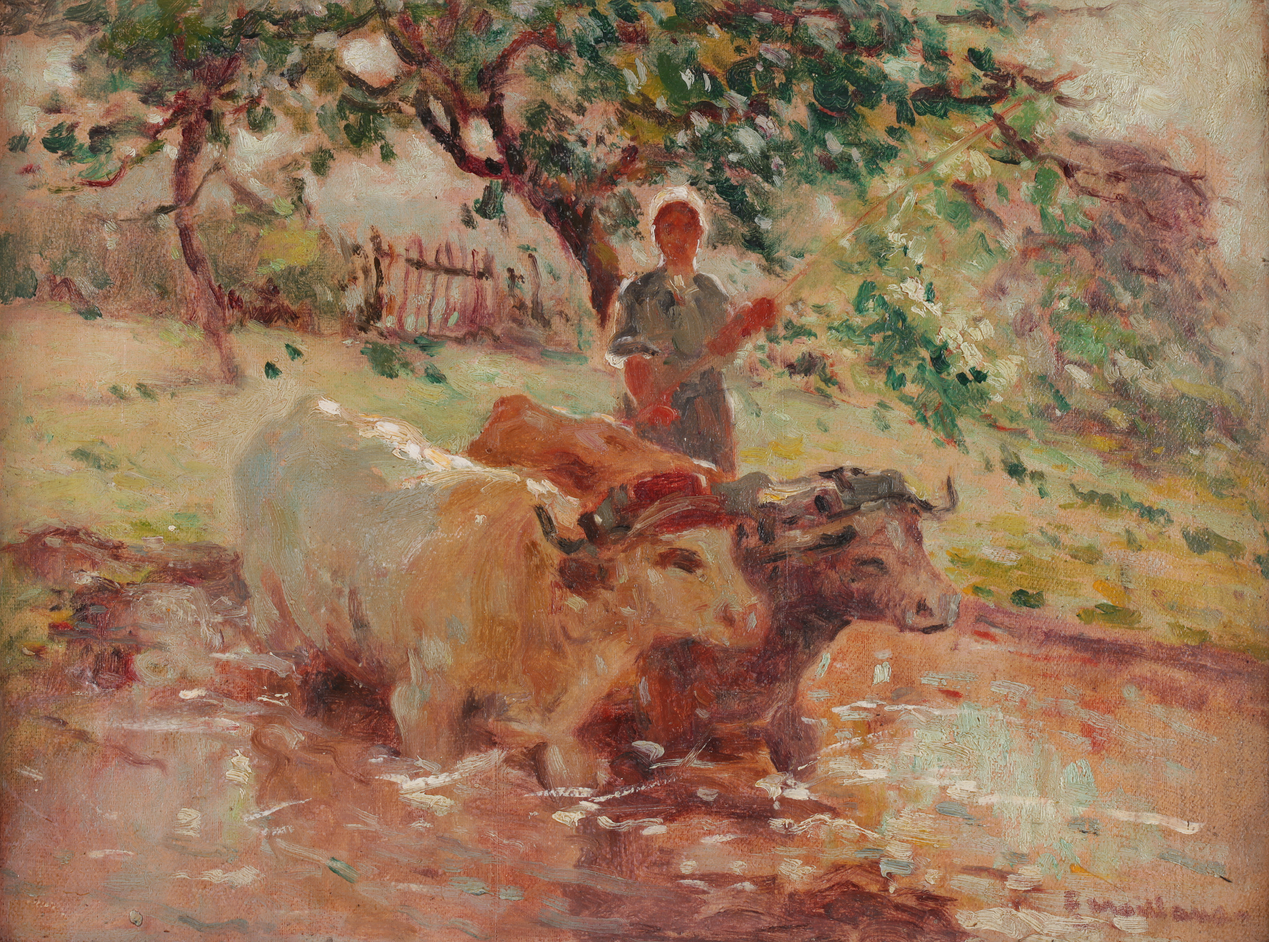 Dans la Vallée Noire